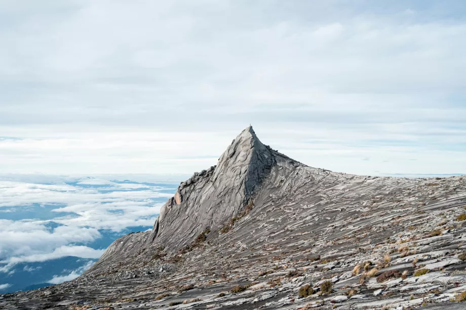 Klättring till Kinabalu, Sabah, Borneo