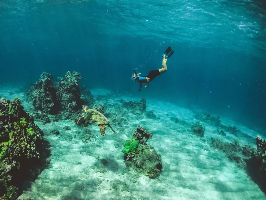 Snorkling Oahu