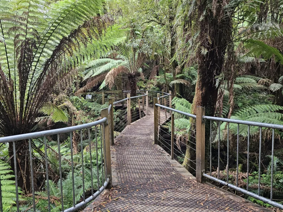 Hopetoun Falls