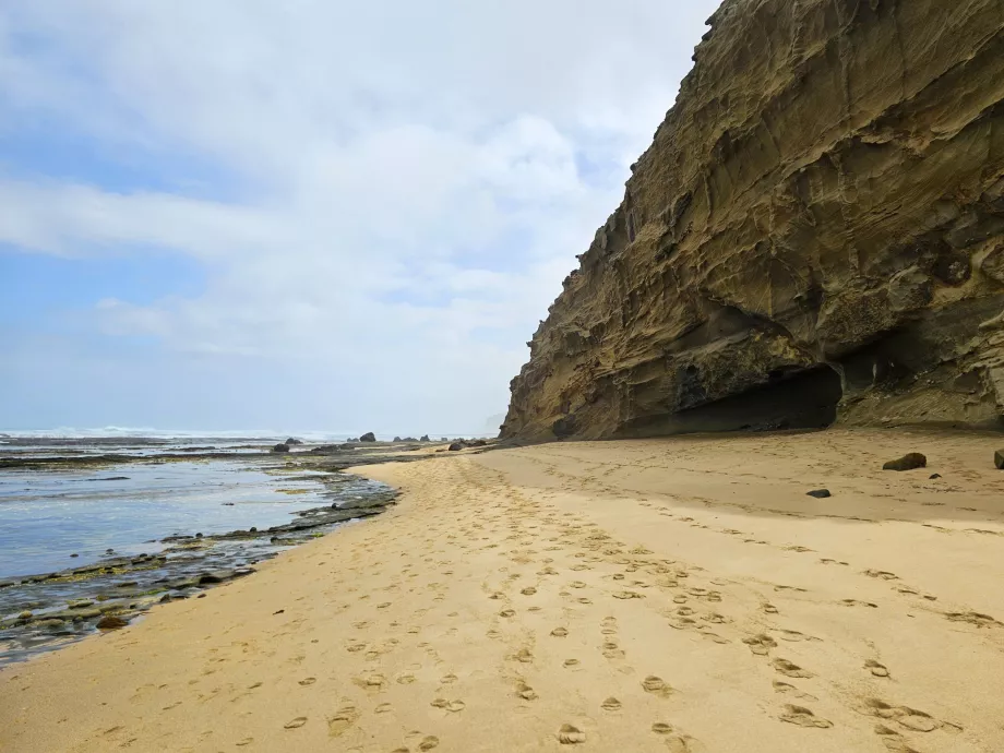 Shipwreck Beach