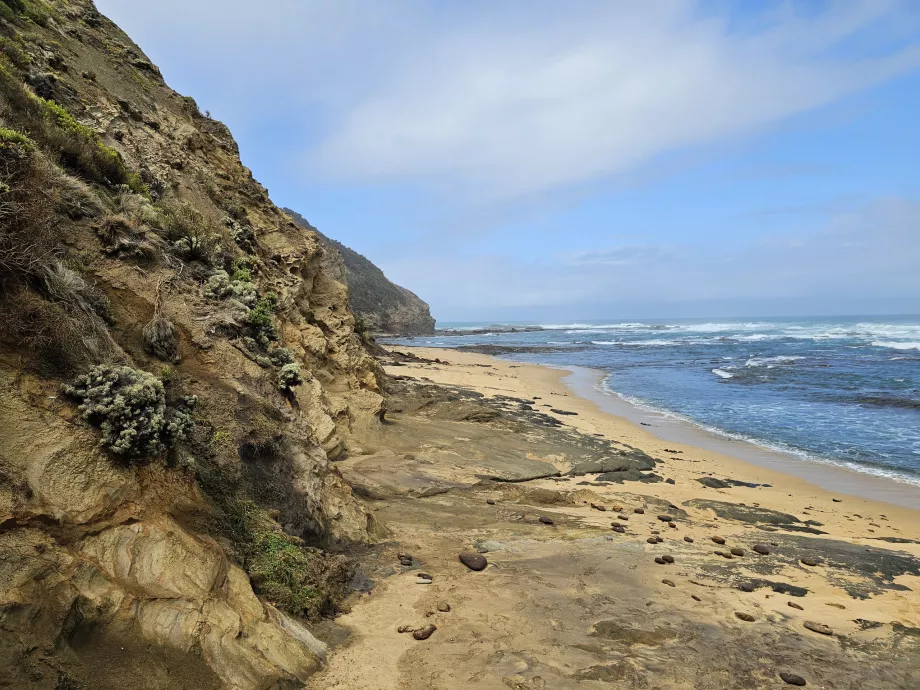 Shipwreck Beach