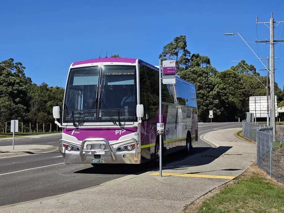 Buss V/Line