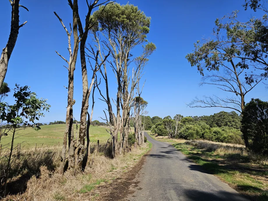 Nationalparken Great Otway