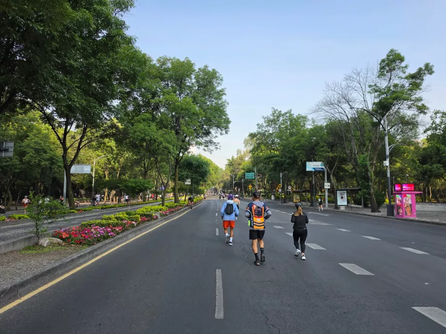 En söndagsmorgonjogg i Mexico City