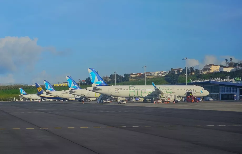 Azores Airlines flygplan på Ponta Delgada Airport