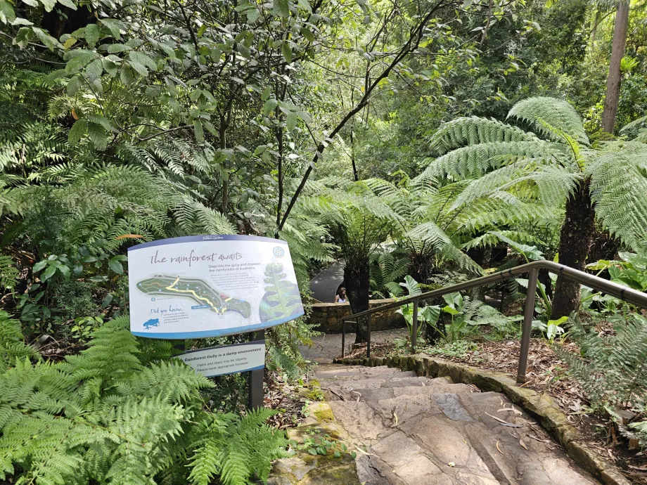 Botanisk trädgård