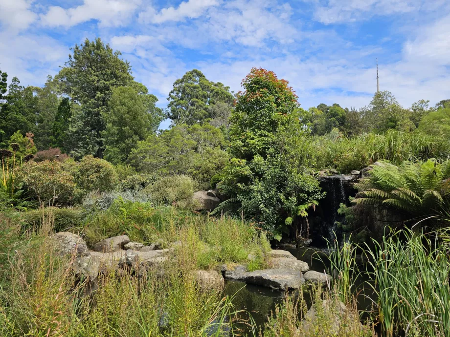 Botanisk trädgård
