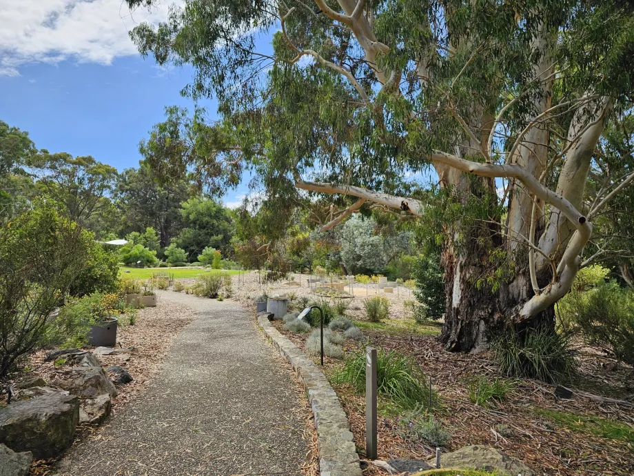 Botanisk trädgård