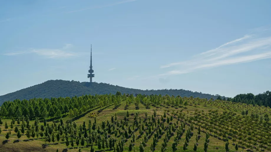 National Arboretum