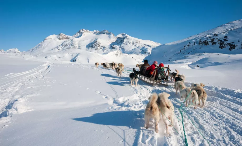 Hundspann på Grönland