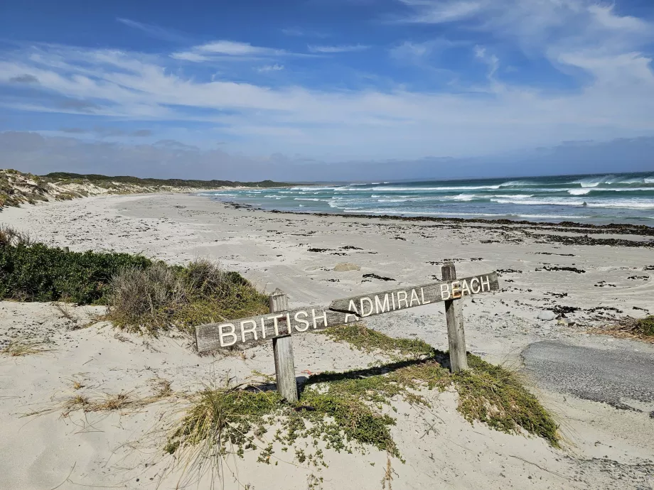 Brittiska amiralen Beach