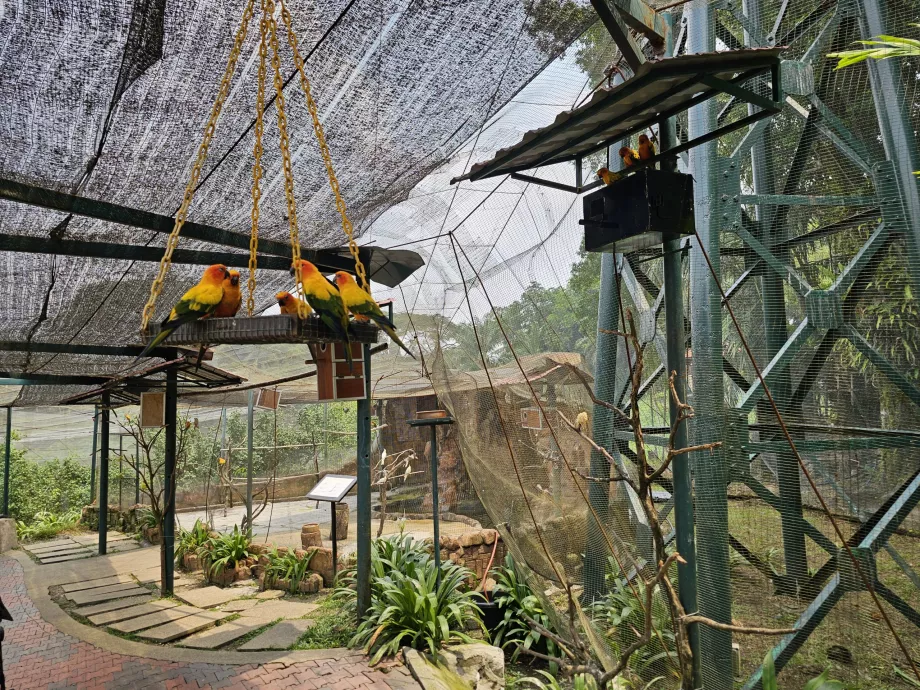 Fågelpark
