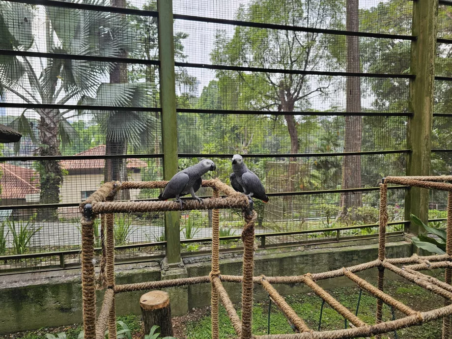Fågelpark