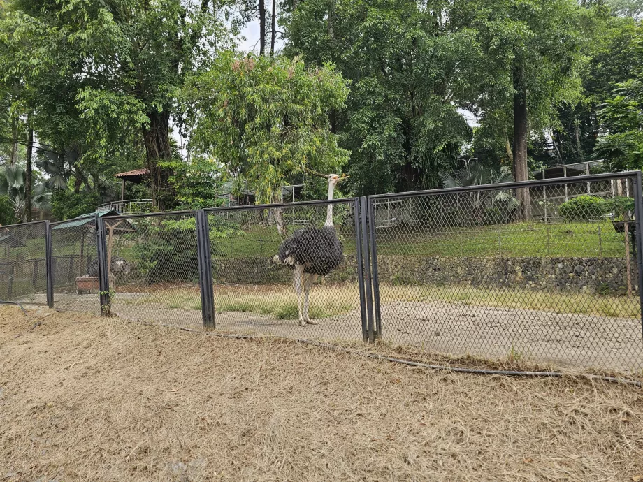 Fågelpark
