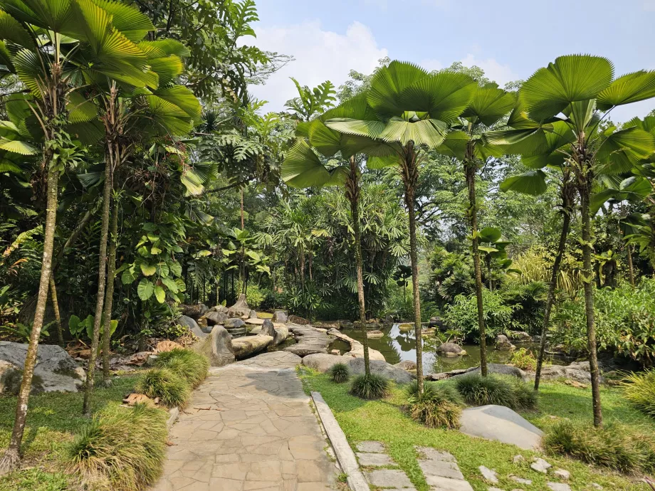 Botanisk trädgård