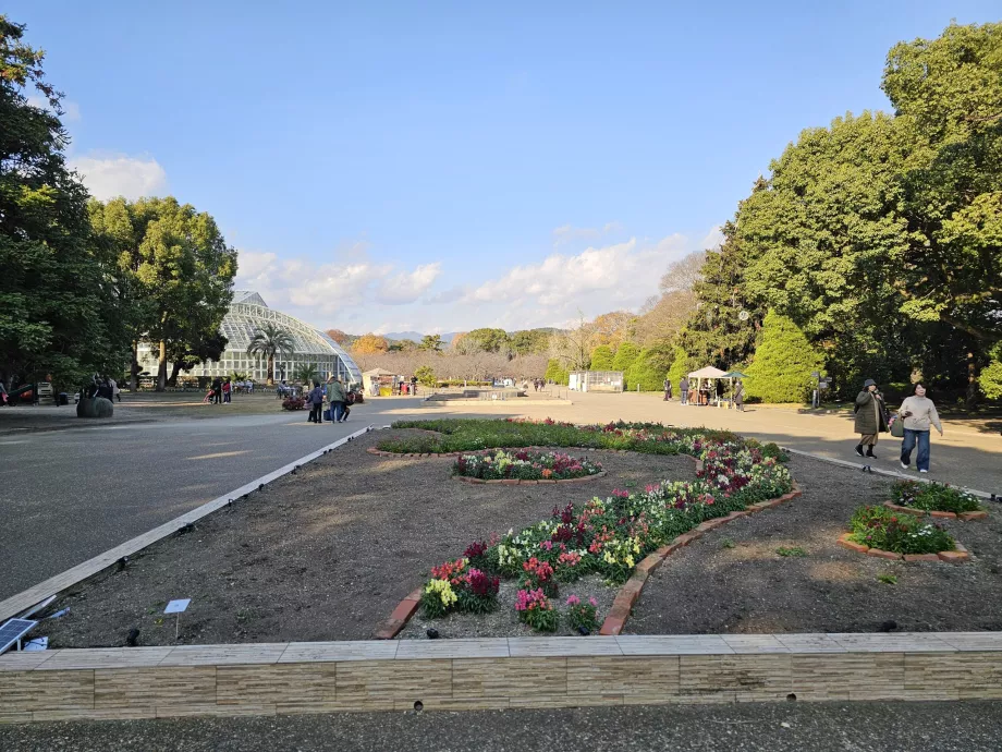 Kyoto botaniska trädgård