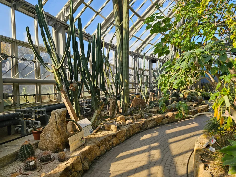 Kyoto botaniska trädgård