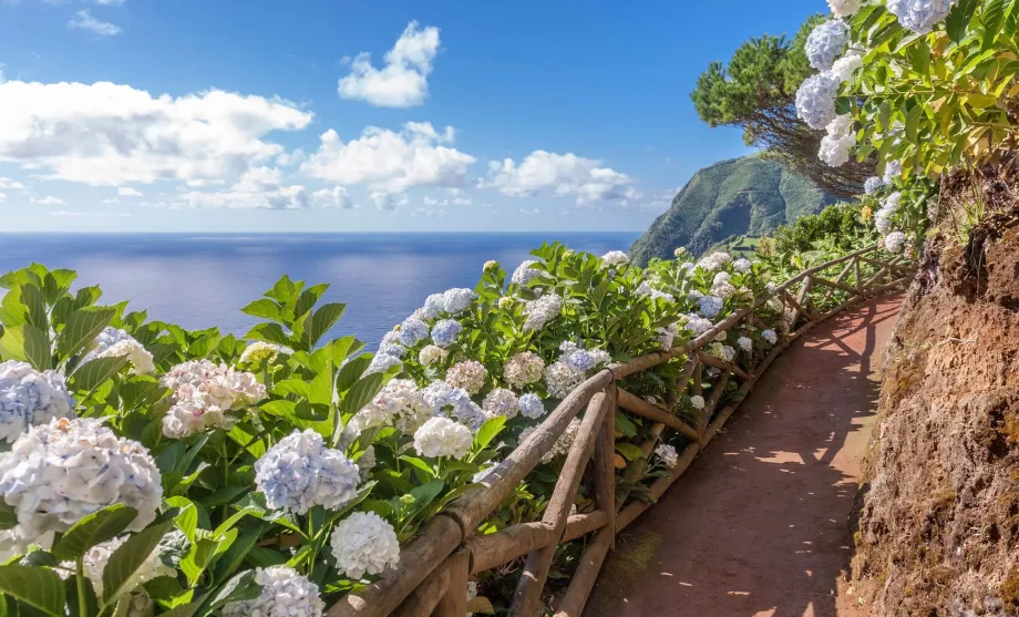 Sao Miguel, Azorerna