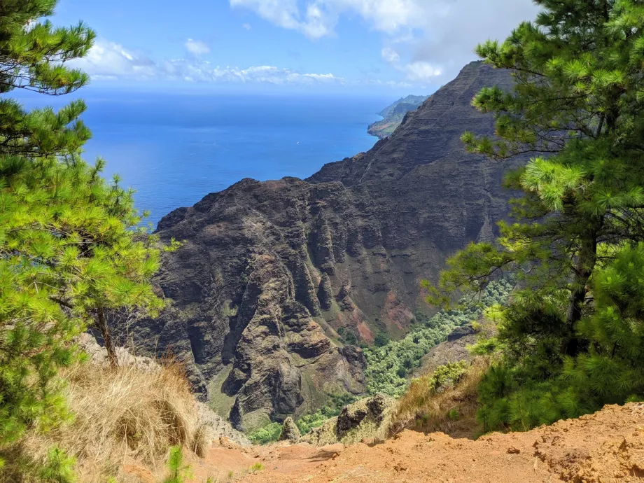 Kauai utsikt
