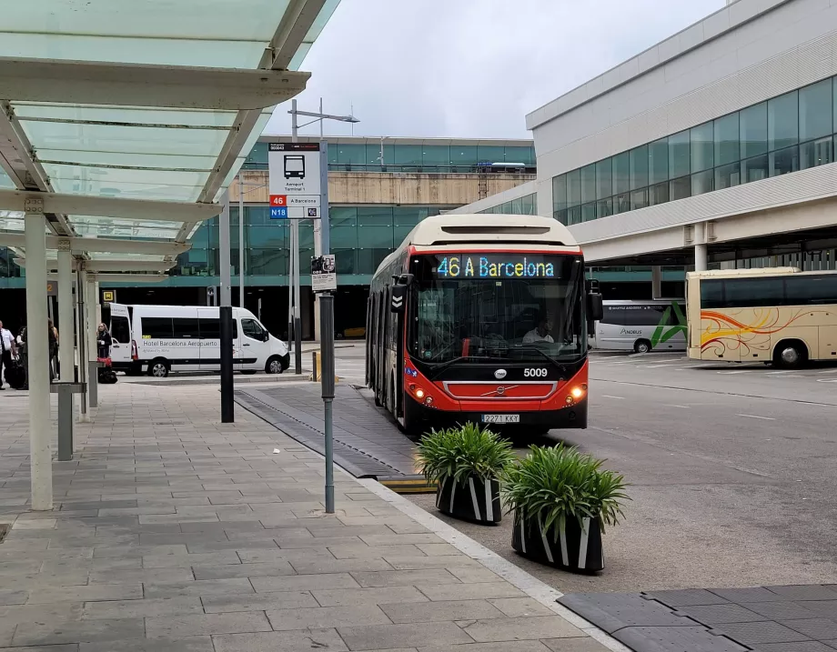 Busshållplats 46 vid Terminal 1