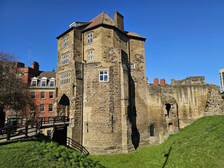 Newcastle slott