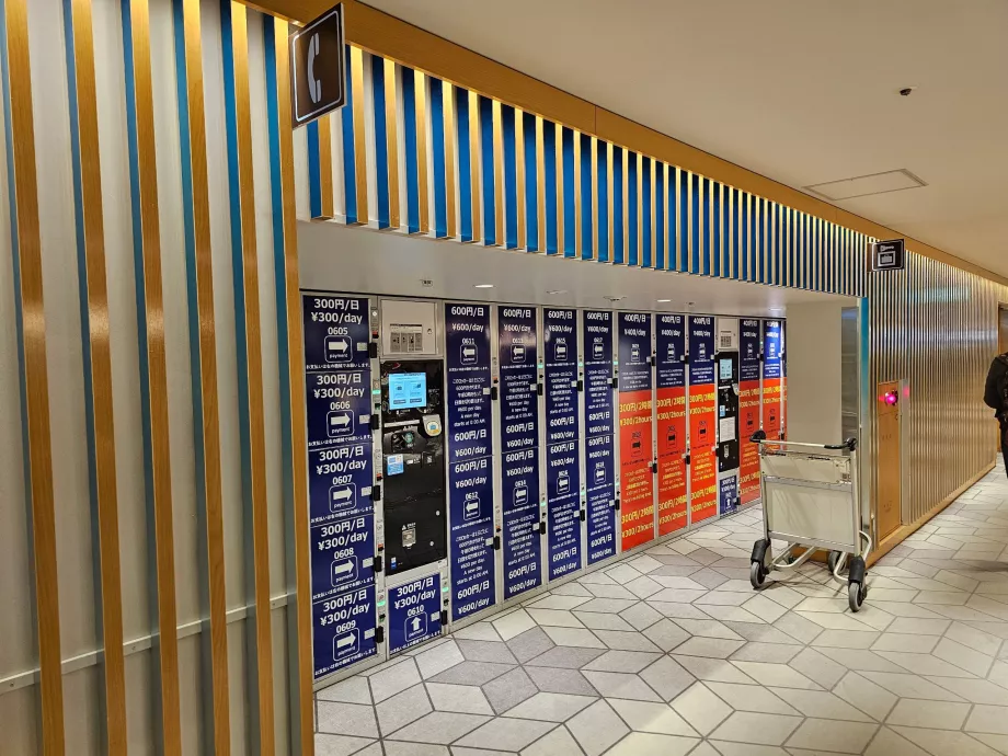 Skåp för förvaring av bagage