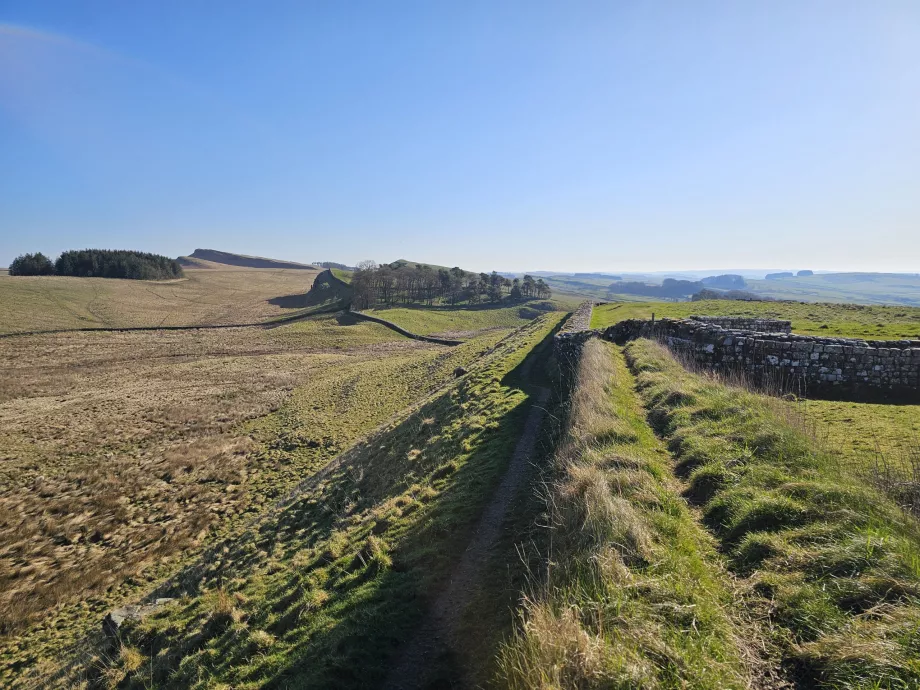 Housesteads romerska fort