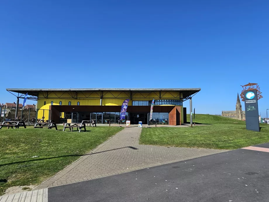Tynemouth Aquarium