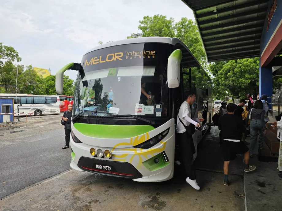 Melor Interline, coach