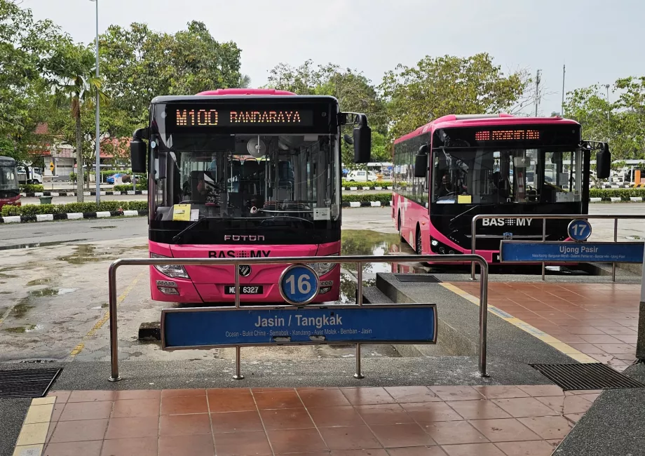 Buss 100 från busstationen till centrum