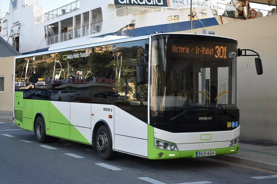 Buss Gozo