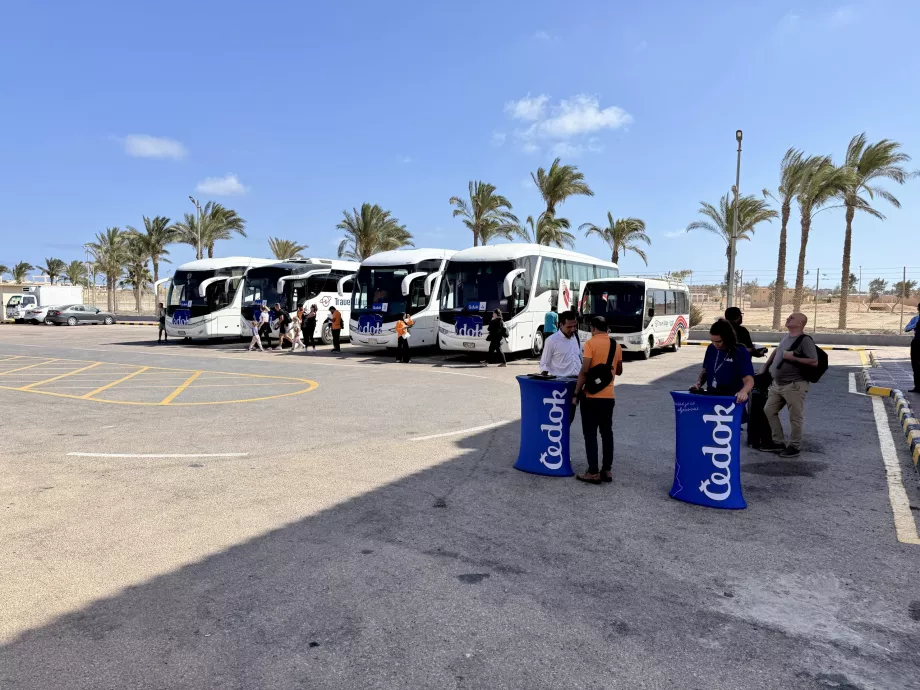 Bussar från flygplatsen till hotellanläggningarna