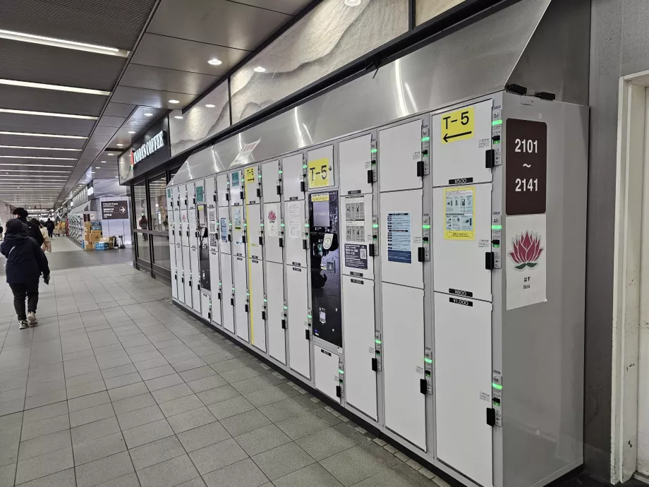 Skåp för förvaring av bagage