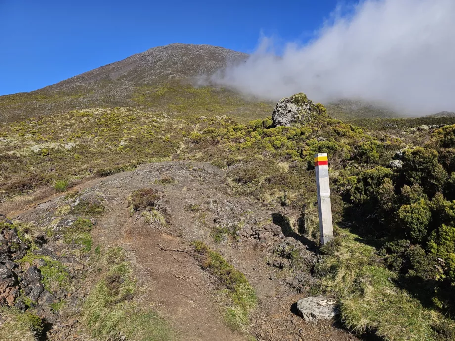 Turistskyltar, Pico