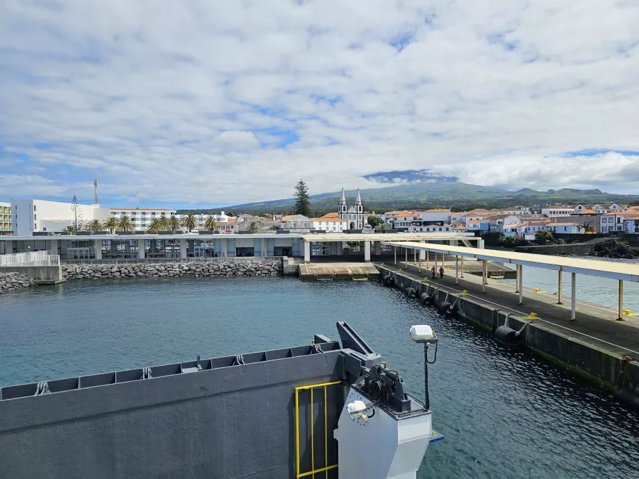 Hamn i Madalena, ankomst från Faial Island