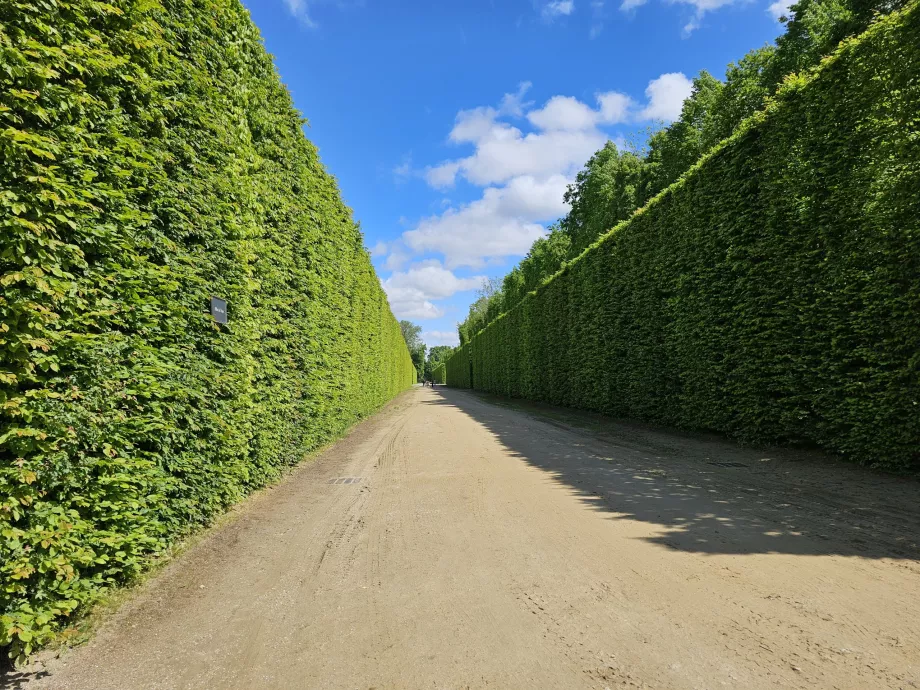 Versailles trädgårdar