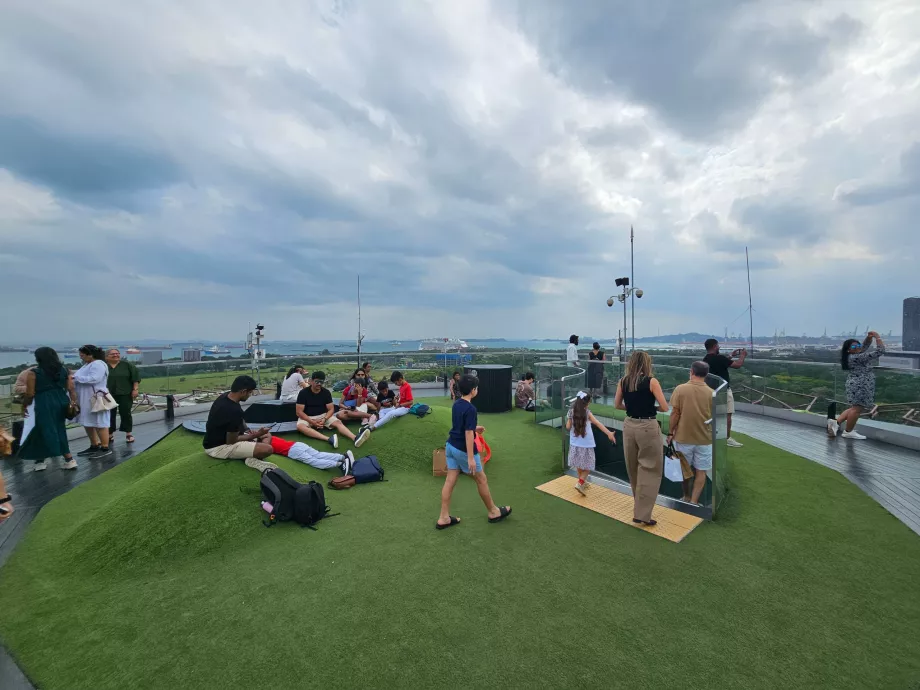 Observatoriet Supertree