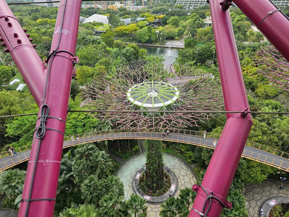 Observatoriet Supertree