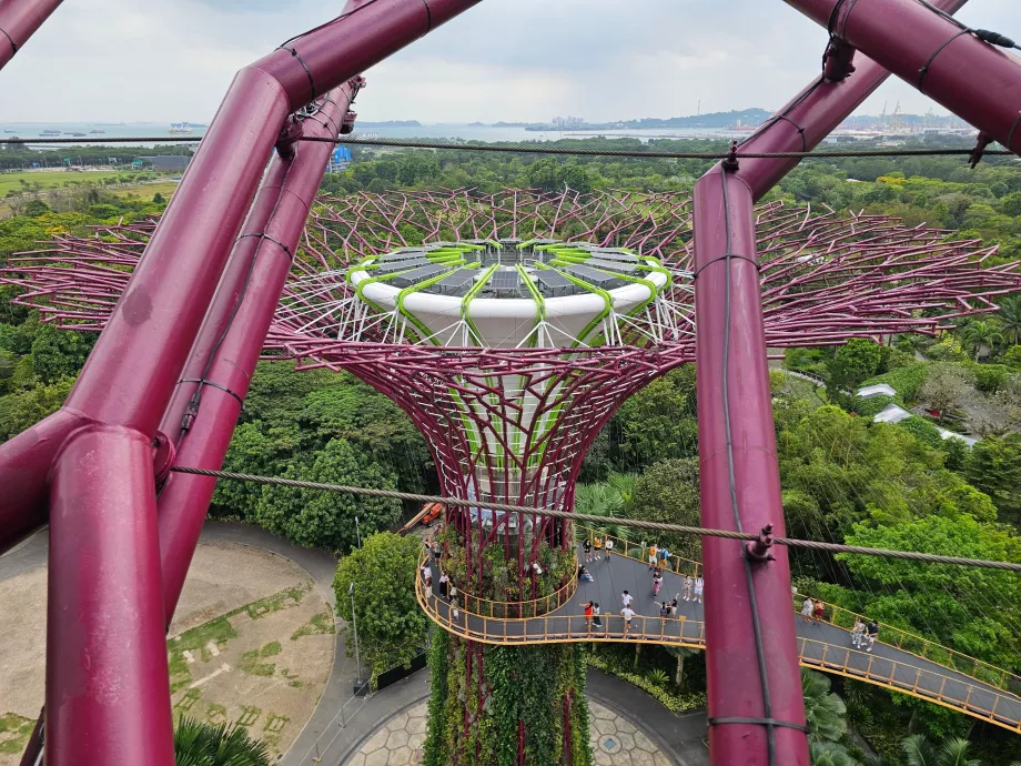 Observatoriet Supertree