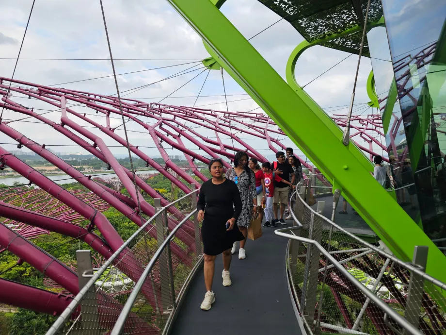 Observatoriet Supertree