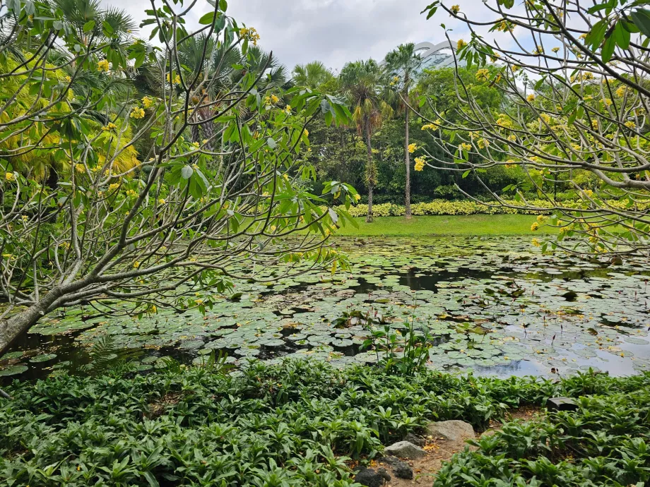 Trädgårdar vid bukten