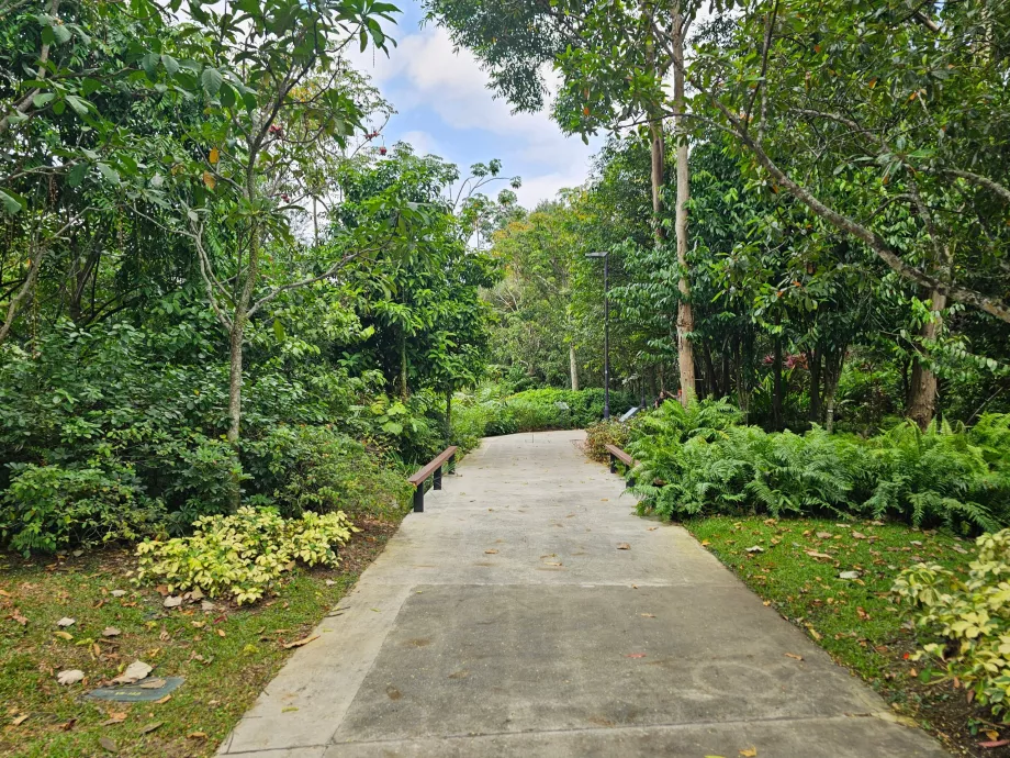 Trädgårdar vid bukten