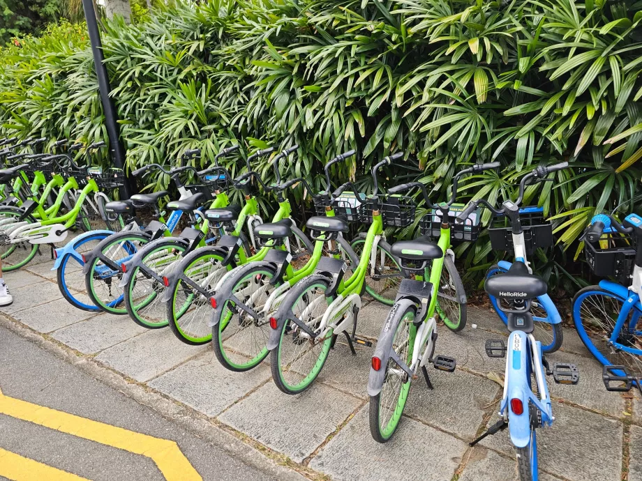 Delade cyklar i Singapore