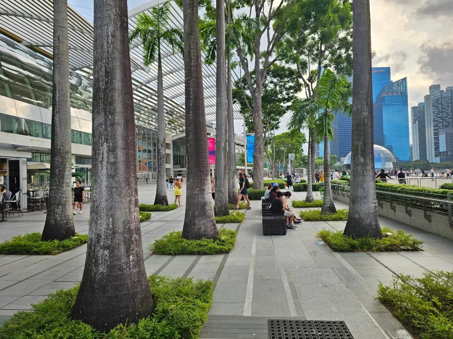 Promenadstråket framför MBS