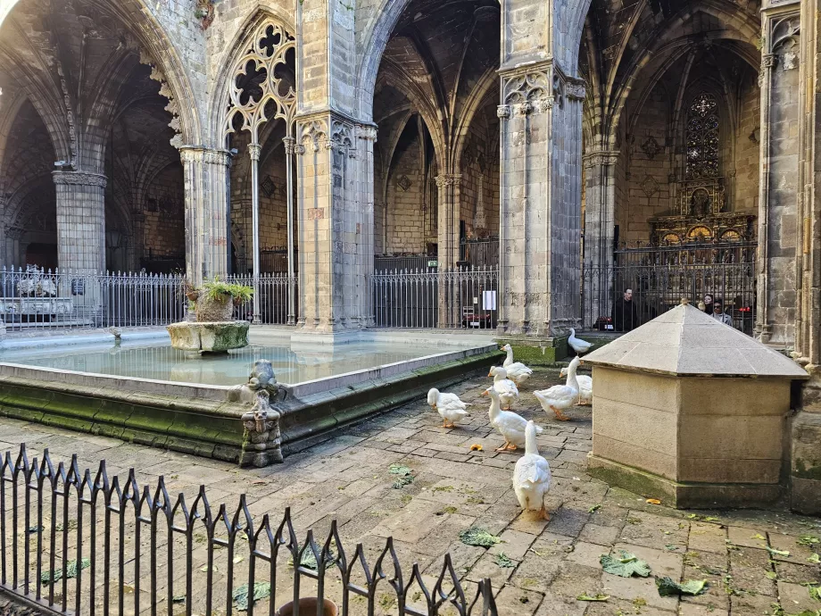 Barcelonas katedral, innergård