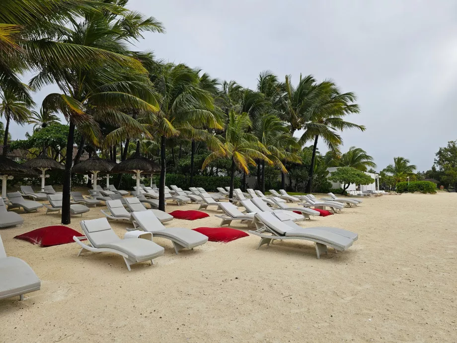 Solstolar på hotellstranden Veranda Palmar