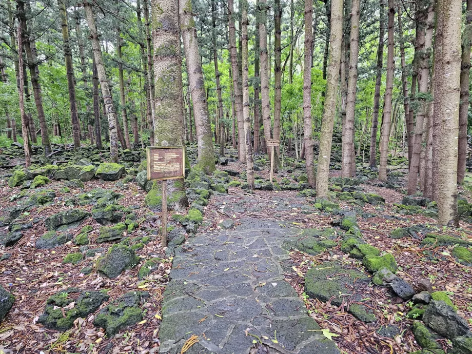 Bras d'Eau National Park, vandringsled