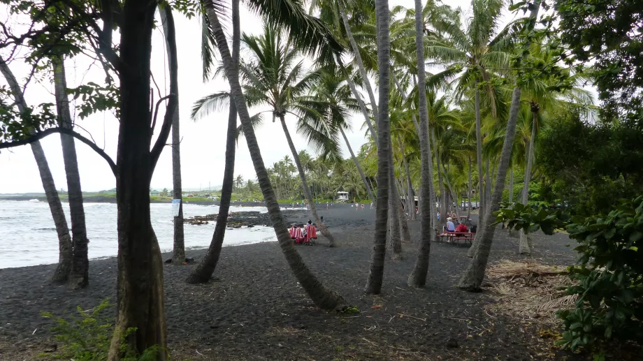 Palmlund på Punaluu Beach