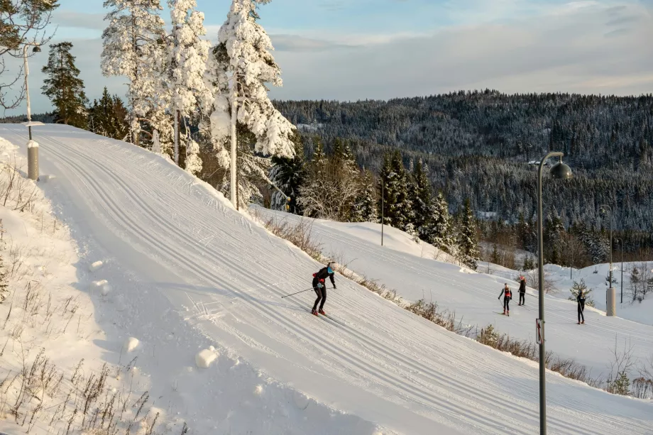 Skidåkning Holmenkollen