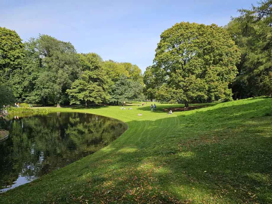 Kungliga trädgården